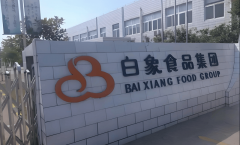 <b>低调沉因得果他一手缔制了“白象传奇”</b>