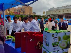 <b>云南省2025年“食物平安宣传周·省农业农村厅从</b>