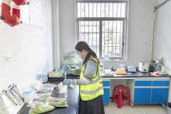 <b>2025年肇庆超额完成食用农产物快检和食物抽检使</b>